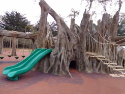San Francisco Zoo playground